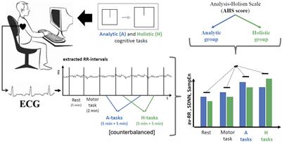 Analytic and Holistic Thinkers: Differences in the Dynamics of Heart Rate Complexity When Solving a Cognitive Task in Field-Dependent and Field-Independent Conditions